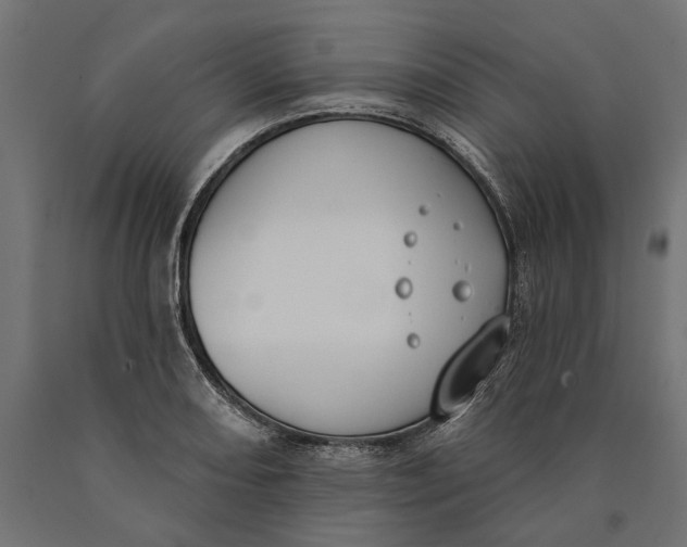 X0000090421082200708031100