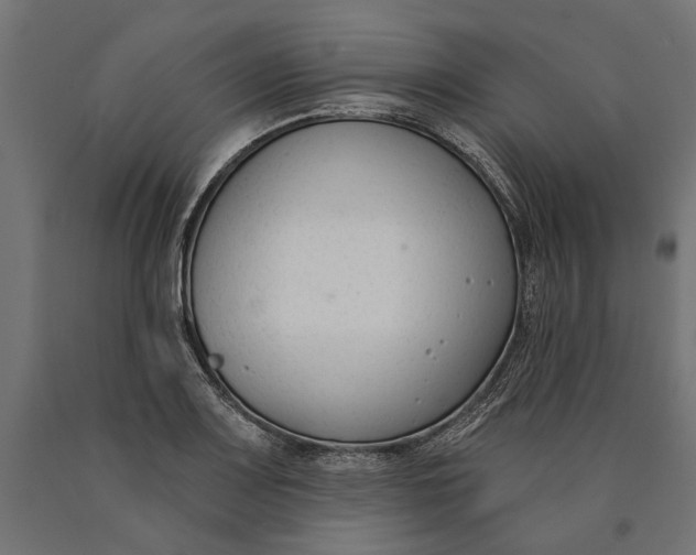 X0000090421083200708031100