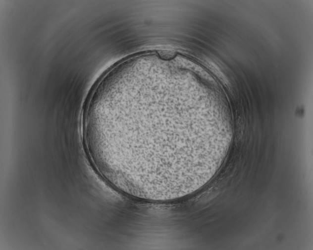 X0000090421084200708031100