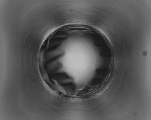 X0000090421085200708031100