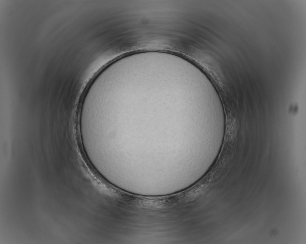 X0000090421086200708031100