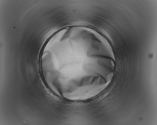 X0000090421087200708031100