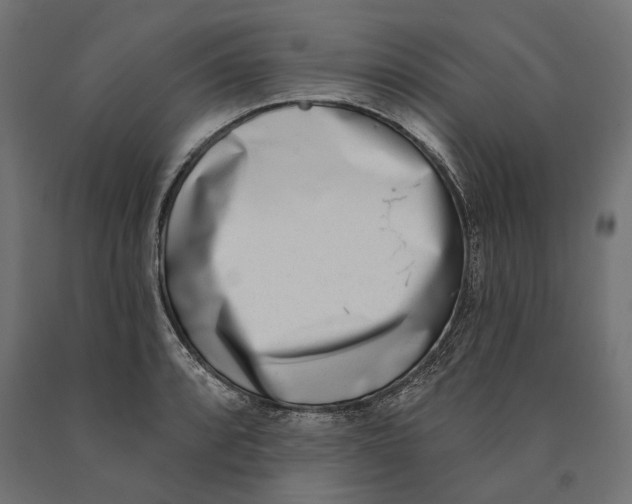 X0000090421088200708031100