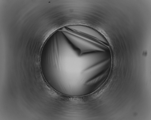 X0000090421089200708031100