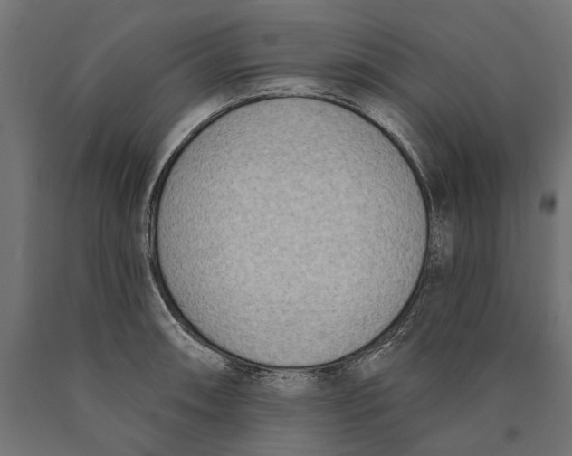 X0000090421090200708031100