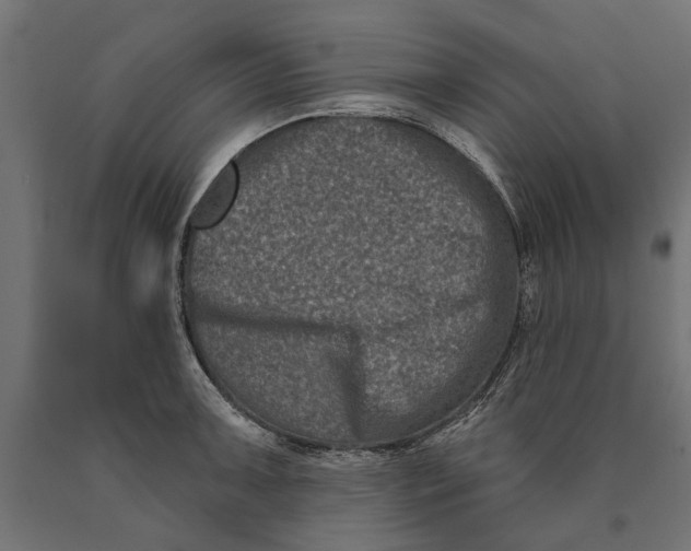 X0000090421091200708031100