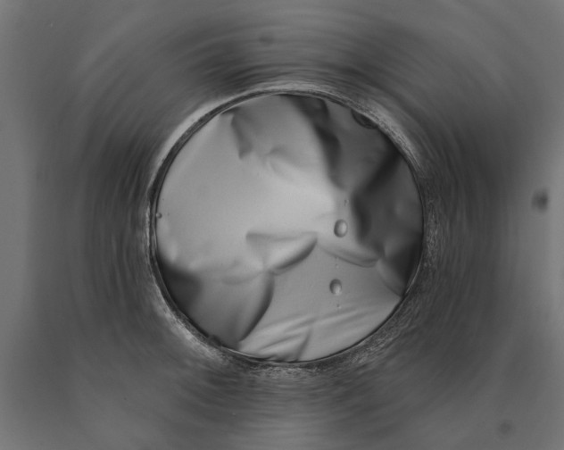 X0000090421092200708031100