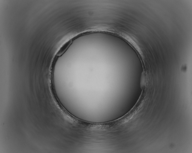 X0000090421093200708031100