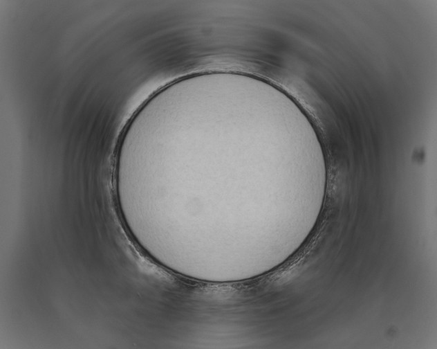 X0000090421094200708031100