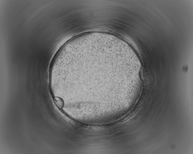 X0000090421095200708031100