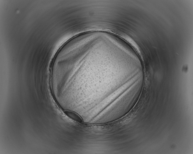 X0000090421096200708031100