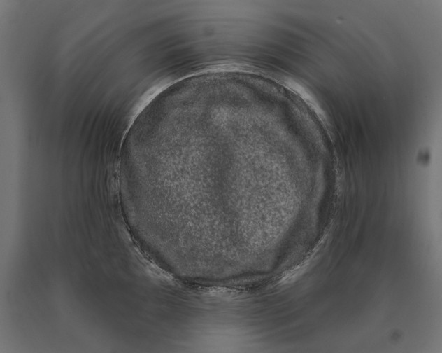 X0000090421097200708031100