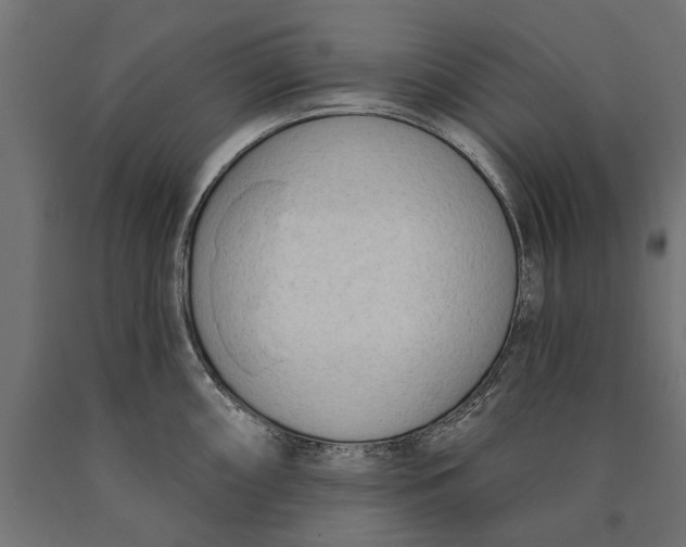 X0000090421098200708031100