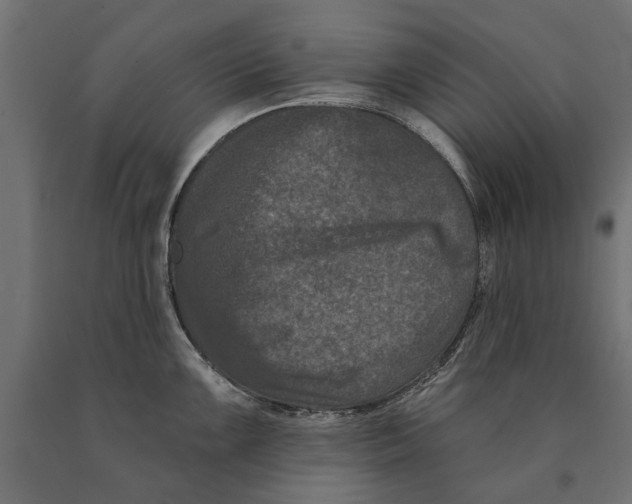 X0000090421099200708031100