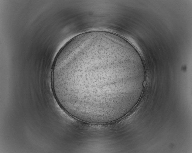 X0000090421100200708031100