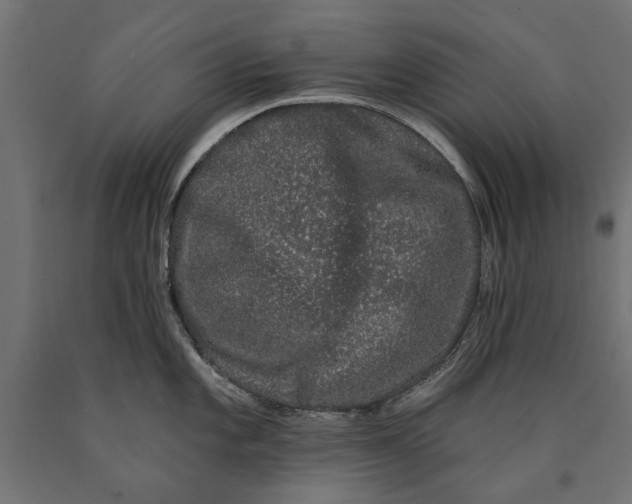 X0000090421101200708031100