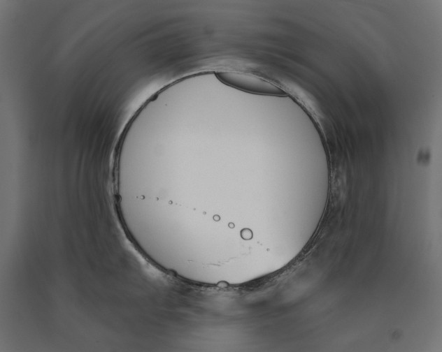 X0000090421103200708031100