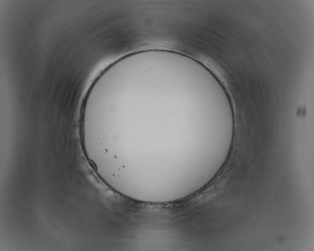 X0000090421104200708031100