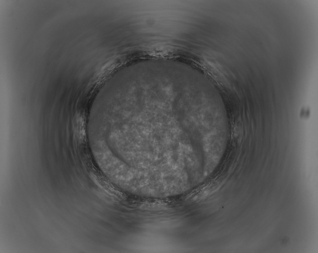 X0000090421106200708031059