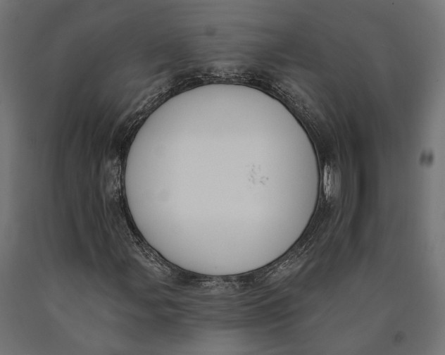 X0000090421107200708031059