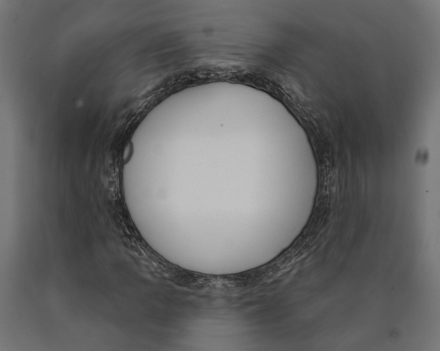 X0000090421109200708031059