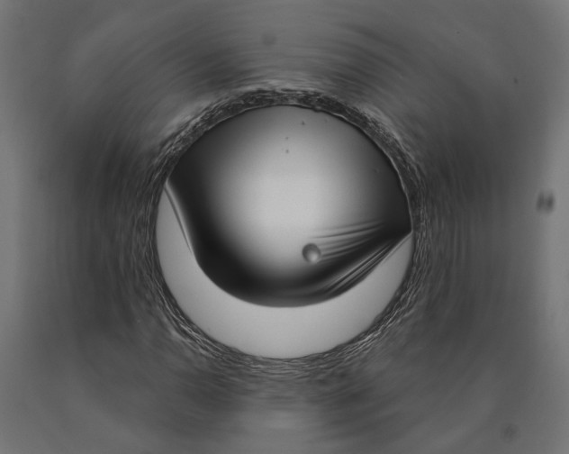 X0000090421110200708031059