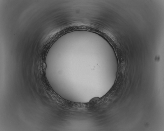 X0000090421111200708031059