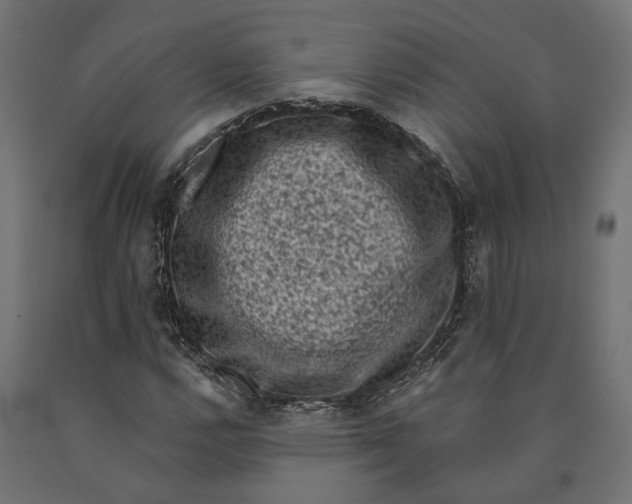 X0000090421112200708031059