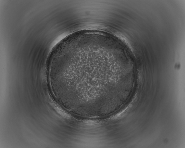 X0000090421114200708031059