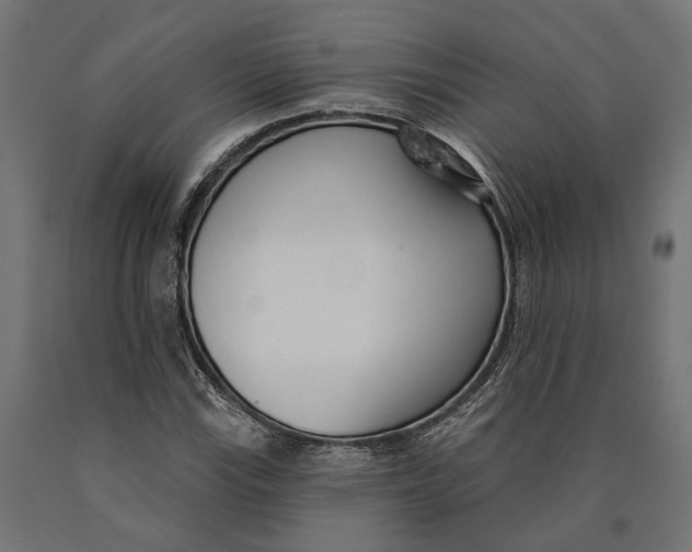 X0000090421115200708031059