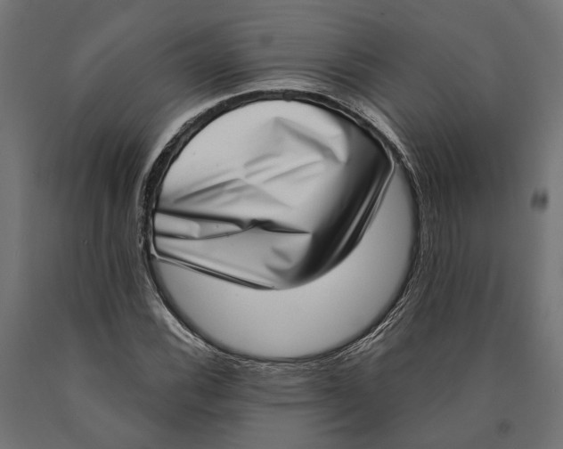 X0000090421116200708031059