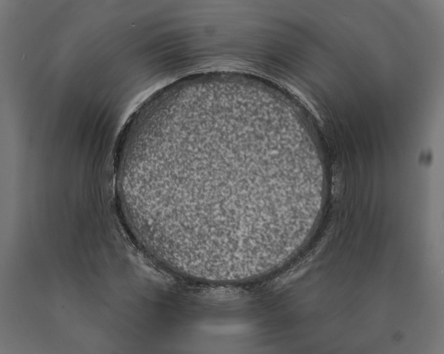 X0000090421117200708031059