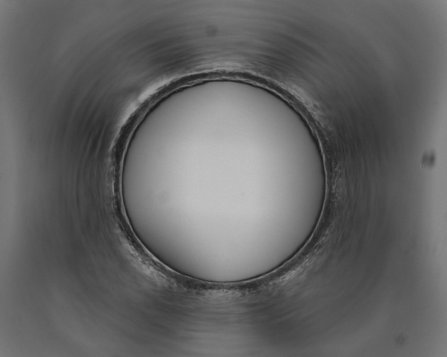 X0000090421118200708031059