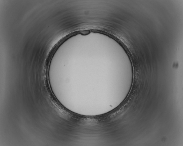 X0000090421119200708031100