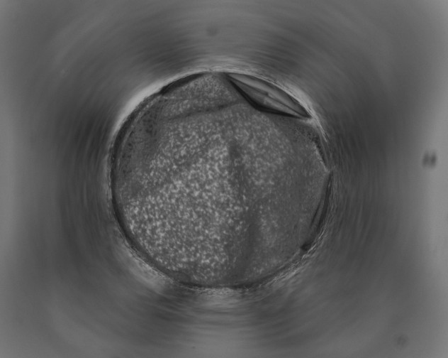 X0000090421120200708031100