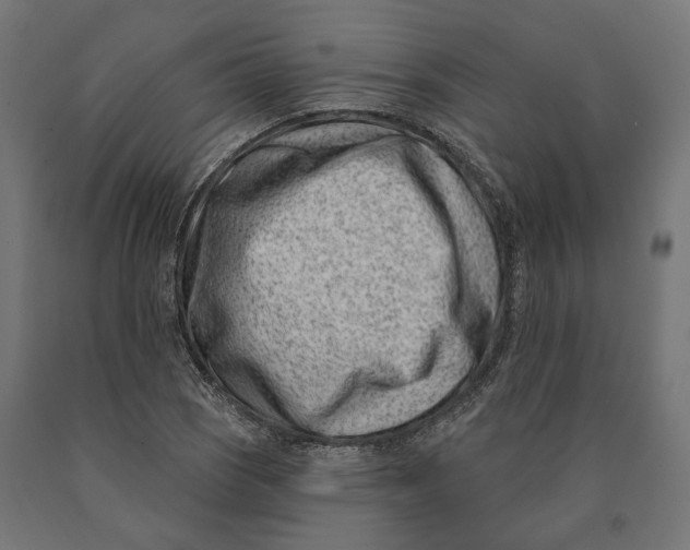 X0000090421121200708031100