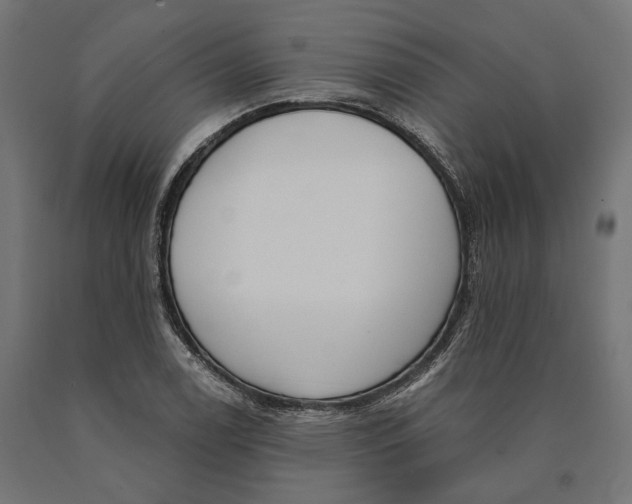 X0000090421122200708031100