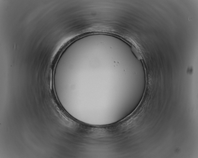 X0000090421123200708031100