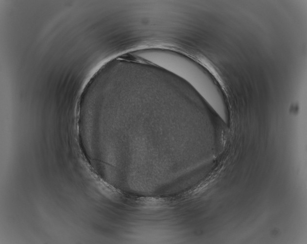 X0000090421124200708031100