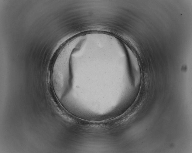 X0000090421125200708031100