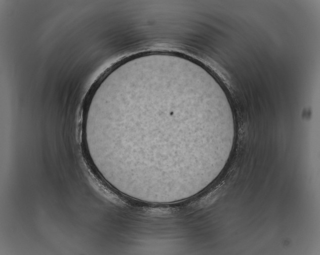 X0000090421126200708031100