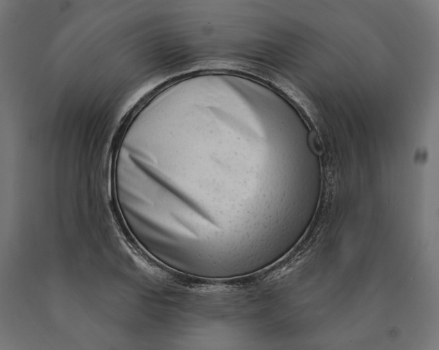 X0000090421127200708031100