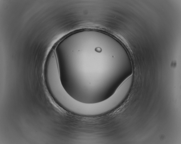 X0000090421128200708031100