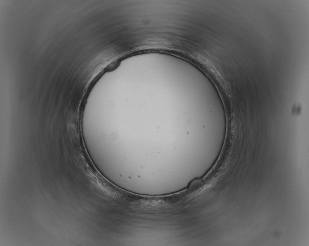 X0000090421129200708031100