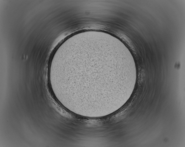 X0000090421130200708031100