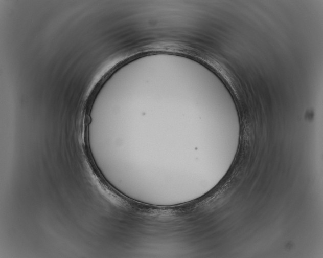 X0000090421131200708031100