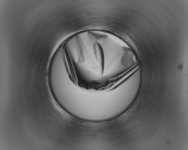 X0000090421132200708031100