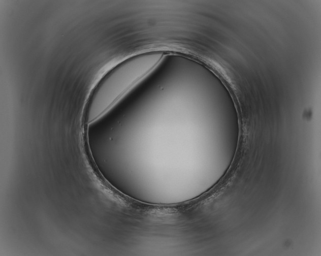 X0000090421133200708031100