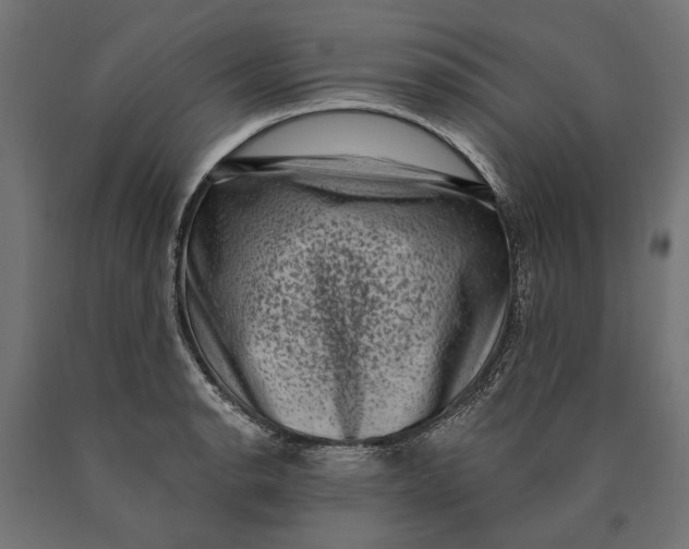 X0000090421134200708031100