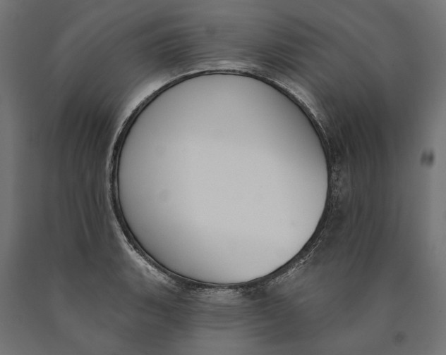 X0000090421135200708031100